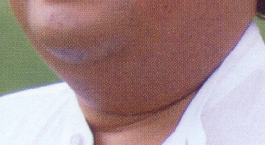 aprjowls