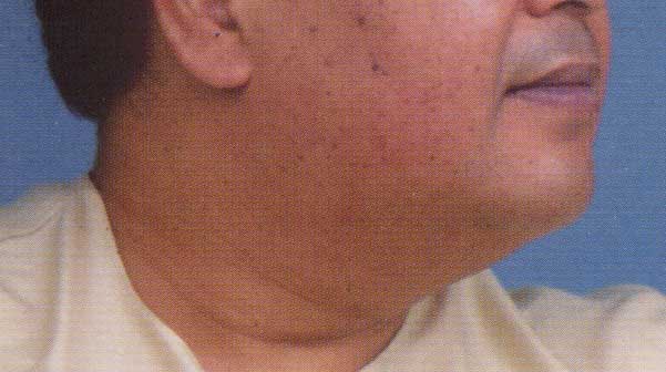 febjowls