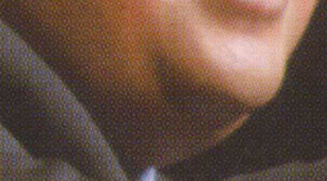 novjowls