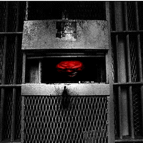 satsang_animated.gif 345.2K