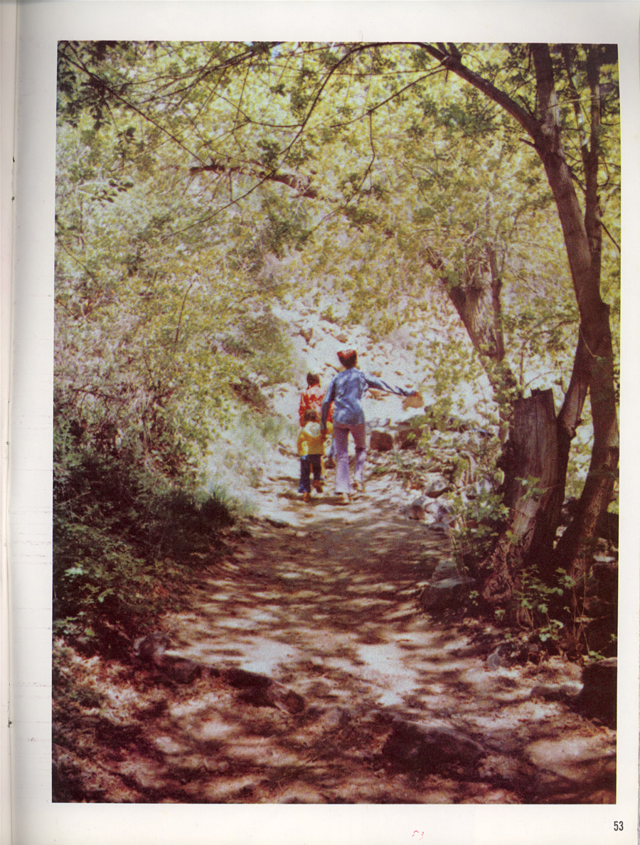 page53.jpg 512.1K