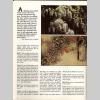 page12_interview_christopher_bird.jpg 425.3K